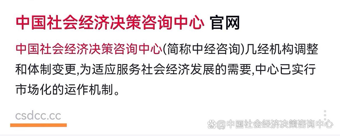正本清源，規范發展 從中國社會經濟決策咨詢中心嚴正聲明看社會經濟咨詢服務